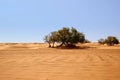 The Sahara desert landscape in Morocco Royalty Free Stock Photo